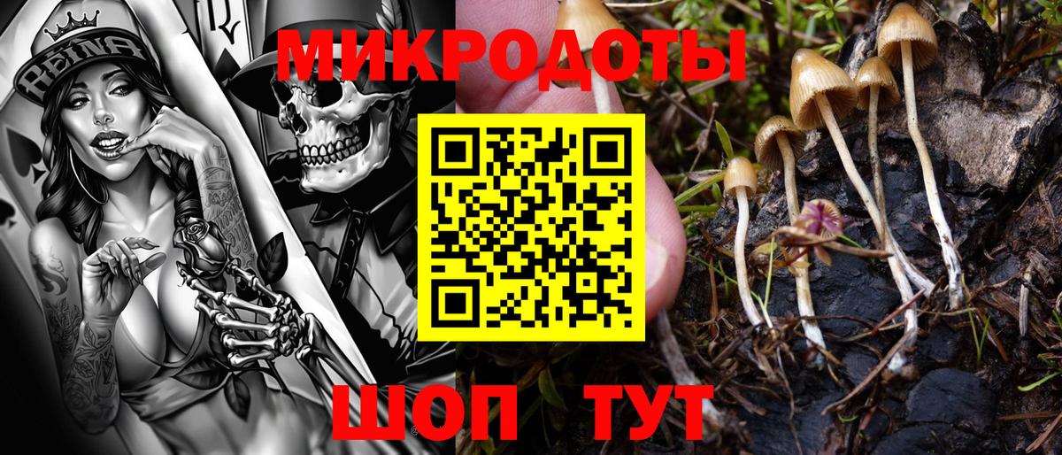 Галлюциногенные грибы Psilocybine cubensis Уварово