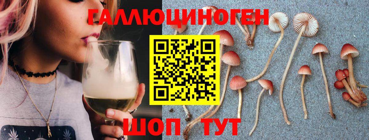 Уварово  Псилоцибиновые грибы Cubensis  Вход с VPN 